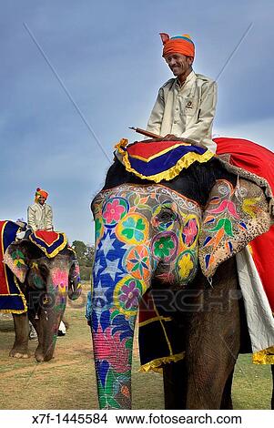 Picture - Elephant Festival, Jaipur, Rajasthan, India. Fotosearch