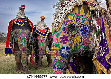 Elephant Festival, Jaipur, Rajasthan, India View Large Photo Image Stock Photo - Elephant Festival, Jaipur, Rajasthan, India. Fotosearch
