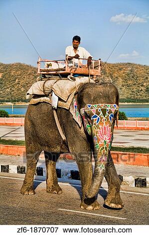 Elephant ride at beautiful peaceful Water Palace of Jal Mahal on the Man Sagar Lake in Jaipur Rajasthan India View Large Photo Image Stock Photo - Elephant ride at beautiful peaceful Water Palace of Jal Mahal on the Man Sagar Lake in Jaipur Rajasthan India. Fotosearch