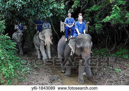 Elephant trek near Luang Prabang Laos PDR View Large Photo Image Stock Photo - Elephant trek near Luang Prabang Laos PDR. Fotosearch