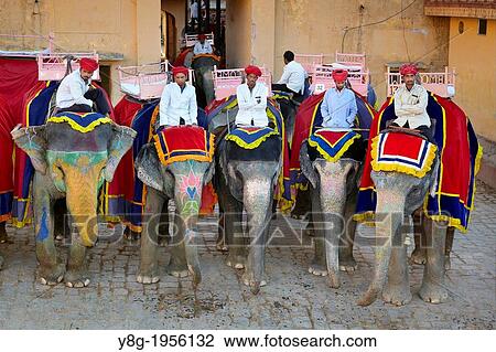 Stock Image - Elephants waiting for tourists to carrying them up to the Amber Fort Amber Palace, Amer 11km from Jaipur, Rajasthan, India.. Fotosearch