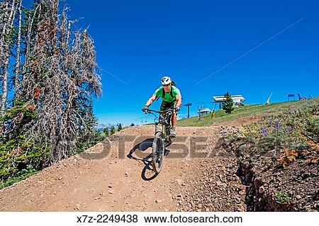 Elijah Weber mountain biking the Saddle Up Flow Trail on Bald Mountain at Sun Valley Resort near the cities of Ketchum and Sun Valley in central Idaho. View Large Photo Image Stock Photo - Elijah Weber mountain biking the Saddle Up Flow Trail on Bald Mountain at Sun Valley Resort near the cities of Ketchum and Sun Valley in central Idaho.. Fotosearch