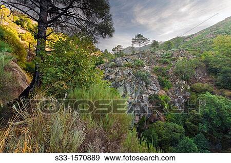 Eliza gorge in the Sierra de Gredos Pedro Bernardo? vila Castilla Le? n Spain View Large Photo Image Stock Photo - Eliza gorge in the Sierra de Gredos Pedro Bernardo? vila Castilla Le? n Spain. Fotosearch