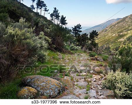 Eliza gorge in the Sierra de Gredos. Pedro Bernardo. Avila. Castilla Leon. Spain. View Large Photo Image Stock Photograph - Eliza gorge in the Sierra de Gredos. Pedro Bernardo. Avila. Castilla Leon. Spain.. Fotosearch