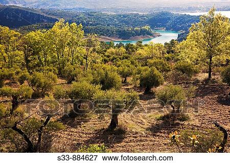 Embalse de Entrepeas. Castile-La Mancha, Spain. View Large Photo Image Stock Photo - Embalse de Entrepeas. Castile-La Mancha, Spain.. Fotosearch