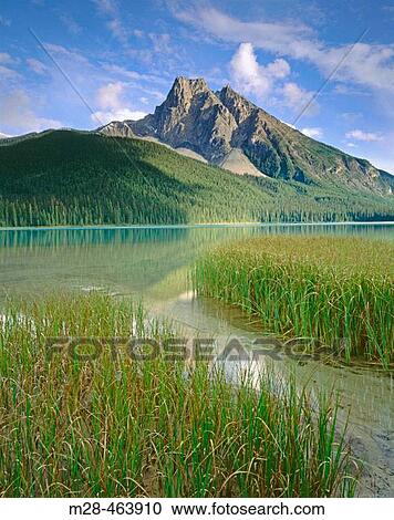 Emerald Lake, Yoho National Park. British Columbia, Canada View Large Photo Image Stock Image - Emerald Lake, Yoho National Park. British Columbia, Canada. Fotosearch