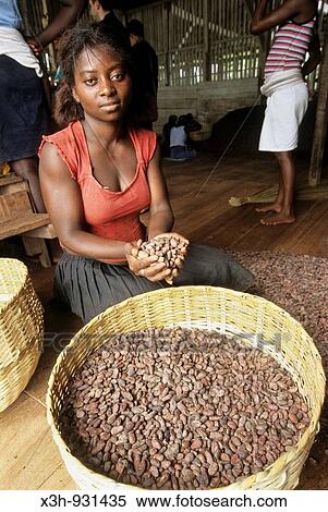 employee d? une plantation, feves de cacao, cacao seeds, plantation, factory, Sao Tome,?le de l? ocean atlantique, archipel de Sao Tome e Principe, Afrique View Large Photo Image Stock Photography - employee d? une plantation, feves de cacao, cacao seeds, plantation, factory, Sao Tome,?le de l? ocean atlantique, archipel de Sao Tome e Principe, Afrique. Fotosearch
