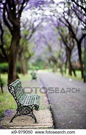 Empty bench in a park, Seville, Spain View Large Photo Image Stock Image - Empty bench in a park, Seville, Spain. Fotosearch