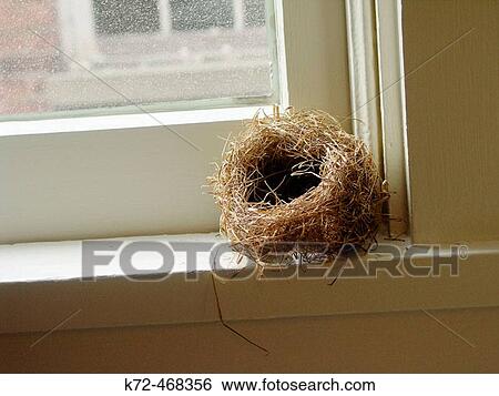 Empty Bird Nest in Window View Large Photo Image Stock Photograph - Empty Bird Nest in Window. Fotosearch