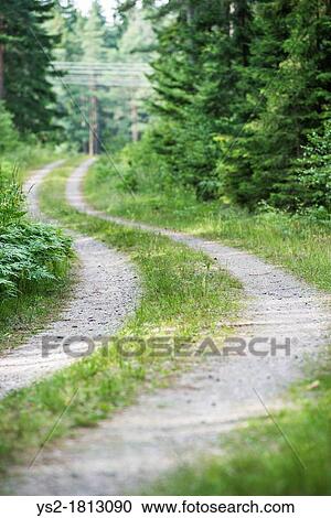Empty gravel road lingering through forest View Large Photo Image Stock Image - Empty gravel road lingering through forest. Fotosearch