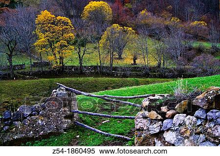 Enclosure Valle del Lago Natural Park Somiedo,, Asturias, Spain View Large Photo Image Stock Photography - Enclosure Valle del Lago Natural Park Somiedo,, Asturias, Spain. Fotosearch
