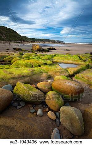 England, North Yorkshire, Scarborough. Scalby Ness Sands, located north of Scarborough within the North York Moors National Park. View Large Photo Image Stock Photograph - England, North Yorkshire, Scarborough. Scalby Ness Sands, located north of Scarborough within the North York Moors National Park.. Fotosearch