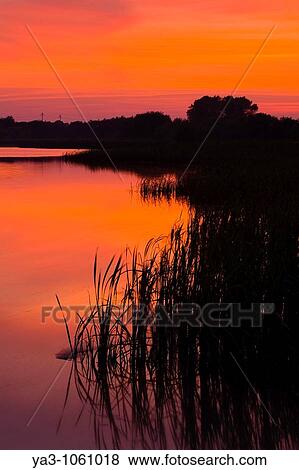 England, Tyne and Wear, Big Waters County Park Sunset over the lake in Big Waters Country Park The lake is a a subsidence pond, formed by the collapse of old mine workings View Large Photo Image Stock Photo - England, Tyne and Wear, Big Waters County Park Sunset over the lake in Big Waters Country Park The lake is a a subsidence pond, formed by the collapse of old mine workings. Fotosearch