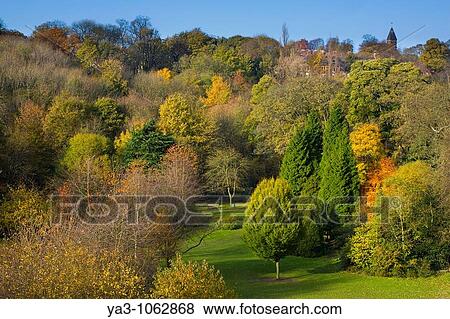 England, Tyne & Wear, Newcastle Upon Tyne View looking from the Armstrong Bridge towards Jesmond Dene View Large Photo Image Stock Photo - England, Tyne & Wear, Newcastle Upon Tyne View looking from the Armstrong Bridge towards Jesmond Dene. Fotosearch