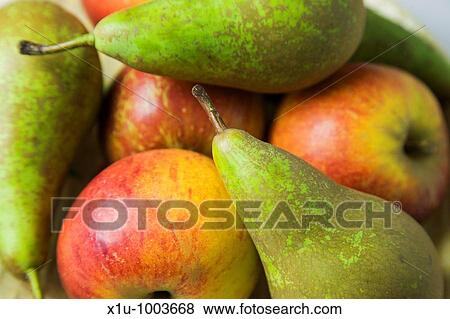 English Cox Apples and Conference Pears View Large Photo Image Stock Photo - English Cox Apples and Conference Pears. Fotosearch