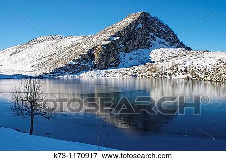 Enol Lake. Covadonga. Picos de Europa National Park. Asturias. Spain View Large Photo Image Stock Photo - Enol Lake. Covadonga. Picos de Europa National Park. Asturias. Spain. Fotosearch