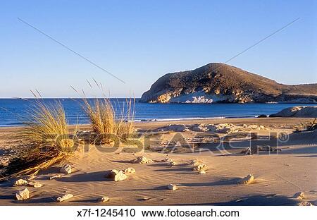 Stock Image - `Ensenada de los Genoveses? cove Cabo de Gata-Nijar Natural Park Biosphere Reserve, Almeria province, Andalucia, Spain. Fotosearch