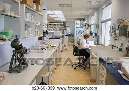 Entomology Laboratory, Neiker Tecnalia, Instituto de Investigaci? n y Desarrollo Agrario, Ganadero, Forestal y del Medio Natural, Arkaute, Alava, Euskadi, Spain. View Large Photo Image Stock Photo - Entomology Laboratory, Neiker Tecnalia, Instituto de Investigaci? n y Desarrollo Agrario, Ganadero, Forestal y del Medio Natural, Arkaute, Alava, Euskadi, Spain.. Fotosearch