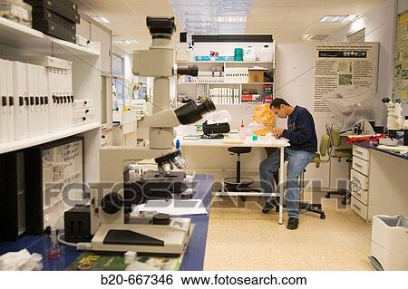Entomology Laboratory, Neiker Tecnalia, Instituto de Investigaci? n y Desarrollo Agrario, Ganadero, Forestal y del Medio Natural, Arkaute, Alava, Euskadi, Spain. View Large Photo Image Stock Photograph - Entomology Laboratory, Neiker Tecnalia, Instituto de Investigaci? n y Desarrollo Agrario, Ganadero, Forestal y del Medio Natural, Arkaute, Alava, Euskadi, Spain.. Fotosearch