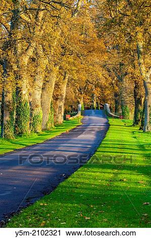 Entrance road to Powderham Castle, Kenton, Devon, England, UK, Europe. View Large Photo Image Stock Image - Entrance road to Powderham Castle, Kenton, Devon, England, UK, Europe.. Fotosearch