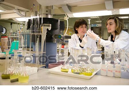 Environmental inorganic chemistry laboratory. Fundacion Inasmet-Tecnalia. Donostia, San Sebastian, Euskadi. Spain. View Large Photo Image Stock Photography - Environmental inorganic chemistry laboratory. Fundacion Inasmet-Tecnalia. Donostia, San Sebastian, Euskadi. Spain.. Fotosearch
