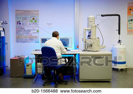 Environmental Scanning Electron Microscope, ESEM, Image analysis of experimental cement mortar, Research on building materials, Tecnalia Research & Innovation, Zamudio, Bizkaia, Basque Country, Spain View Large Photo Image Stock Photo - Environmental Scanning Electron Microscope, ESEM, Image analysis of experimental cement mortar, Research on building materials, Tecnalia Research & Innovation, Zamudio, Bizkaia, Basque Country, Spain. Fotosearch