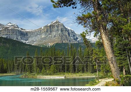Stock Photo - Epaulette Mountain and Mistaya River, Banff National Park Alberta Canada. Fotosearch