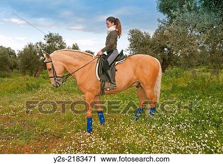 Equestrian Center "El Acebuche" - horse and girl, Bollullos de la Mitacion, Seville-province, Region of Andalusia, Spain, Europe. View Large Photo Image Stock Image - Equestrian Center "El Acebuche" - horse and girl, Bollullos de la Mitacion, Seville-province, Region of Andalusia, Spain, Europe.. Fotosearch