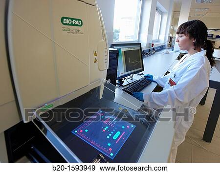 Stock Photo - Equipment for the digitization of gels and membranes, Area, Alava Technology Park, Technology Centre, Tecnalia Research & Innovation, Miano, Araba, Basque Country, Spain. Fotosearch