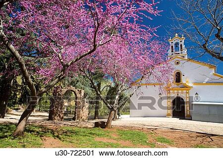 Ermita de Nuestra Seora de los? ngeles. AlBjar. Sierra de Aracena y Picos de Aroche Natural Park. Huelva province. Andalucia, Spain. View Large Photo Image Stock Image - Ermita de Nuestra Seora de los? ngeles. AlBjar. Sierra de Aracena y Picos de Aroche Natural Park. Huelva province. Andalucia, Spain.. Fotosearch