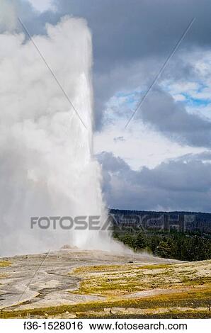 Stock Photograph - Eruption of geothermal steam and water venting out of Old Faithful Geyser, Upper Geyser Basin, Yellowstone National Park, Wyoming. Fotosearch
