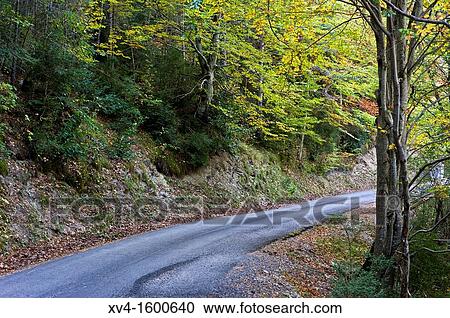 Stock Image - Escuain canyon Aisclo Valley, Ordesa & Monte Perdino National Park, Huesca Aragon, Spain. Fotosearch