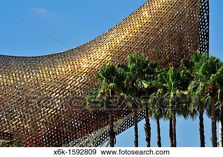 Escultura Fish Frank Owen Gehry y palmeras de abanico mejicana Washingtonia robusta, Marina village, Barcelona, Catalunya, Espaa. View Large Photo Image Stock Photo - Escultura Fish Frank Owen Gehry y palmeras de abanico mejicana Washingtonia robusta, Marina village, Barcelona, Catalunya, Espaa.. Fotosearch