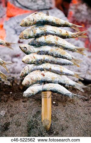 Espetones de sardinas. Pedregalejo beach. MBlaga. Andaluc? a. Spain. View Large Photo Image Stock Image - Espetones de sardinas. Pedregalejo beach. MBlaga. Andaluc? a. Spain.. Fotosearch