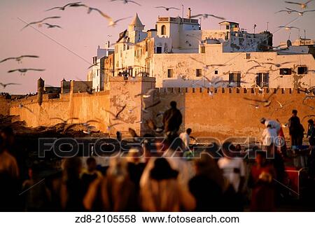 essaouira. morocco. View Large Photo Image Stock Photo - essaouira. morocco.. Fotosearch