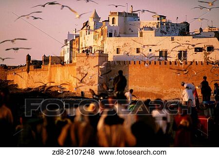 Stock Photo - essaouira. morocco.. Fotosearch