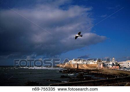 Essaouira, Morocco View Large Photo Image Stock Photography - Essaouira, Morocco. Fotosearch