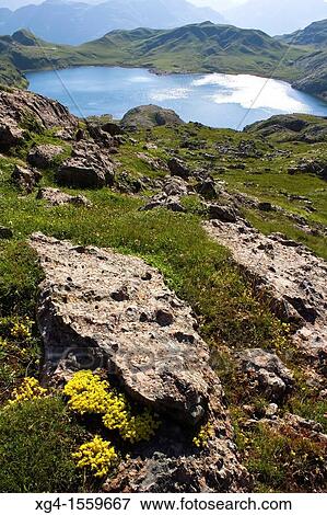 Estanes lake - Huesca province - Aragon Pyrenees - Spain - Europe View Large Photo Image Stock Photo - Estanes lake - Huesca province - Aragon Pyrenees - Spain - Europe. Fotosearch