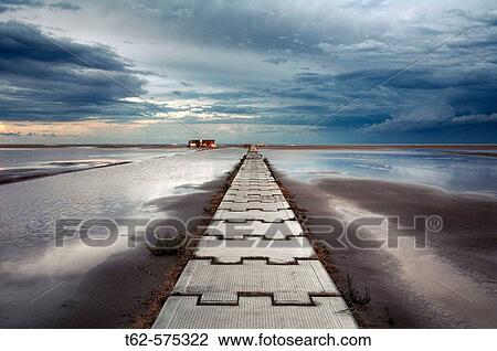 Eucaliptus beach. Delta del Ebro. Tarragona province. Catalonia, Spain View Large Photo Image Stock Image - Eucaliptus beach. Delta del Ebro. Tarragona province. Catalonia, Spain. Fotosearch