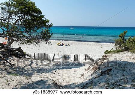 Europe, France, Corse, Haute Corse (2B). Agriates desert. Saleccia. The white sand beach. View Large Photo Image Stock Photo - Europe, France, Corse, Haute Corse (2B). Agriates desert. Saleccia. The white sand beach.. Fotosearch