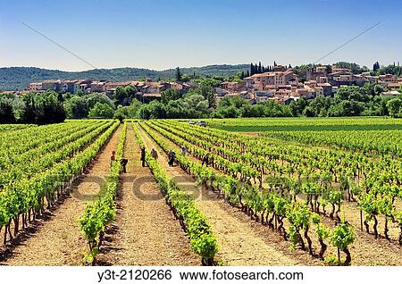 Stock Photograph - Europe, France, Var, Carces. The village of Carces and vineyards.. Fotosearch