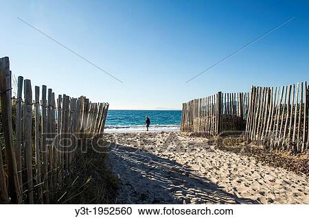 Europe, France, Var, Giens Peninsula. Almanarre Beach. View Large Photo Image Stock Image - Europe, France, Var, Giens Peninsula. Almanarre Beach.. Fotosearch