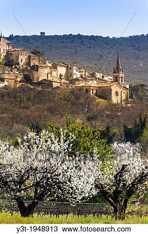 Europe, France, Vaucluse, Luberon. Cherry blossoms at the perched village of Bonnieux. View Large Photo Image Stock Image - Europe, France, Vaucluse, Luberon. Cherry blossoms at the perched village of Bonnieux.. Fotosearch