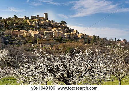 Europe, France, Vaucluse, Luberon. Cherry blossoms at the perched village of Lacoste. View Large Photo Image Stock Photograph - Europe, France, Vaucluse, Luberon. Cherry blossoms at the perched village of Lacoste.. Fotosearch