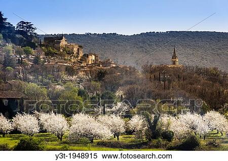 Europe, France, Vaucluse, Luberon. Cherry blossoms at the perched village of Bonnieux. View Large Photo Image Stock Photography - Europe, France, Vaucluse, Luberon. Cherry blossoms at the perched village of Bonnieux.. Fotosearch