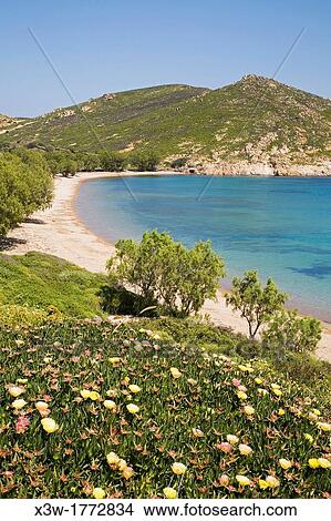 europe, greece, dodecanese, patmos island, livadi beach View Large Photo Image Picture - europe, greece, dodecanese, patmos island, livadi beach. Fotosearch