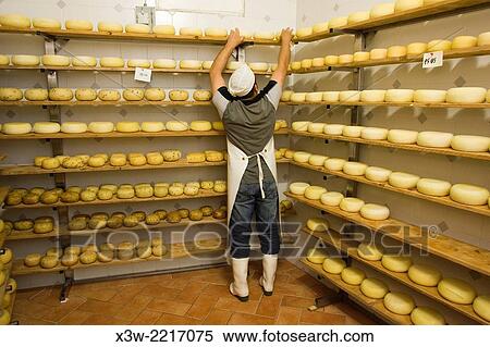 europe, italy, tuscany, crete senesi area, vergelle ranch, cheese factory, pecorino cheese ripening. View Large Photo Image Stock Photography - europe, italy, tuscany, crete senesi area, vergelle ranch, cheese factory, pecorino cheese ripening.. Fotosearch