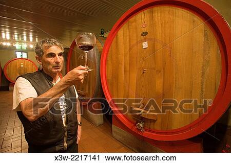 Stock Image - europe, italy, tuscany, montalicino, fattoria dei barbi.. Fotosearch