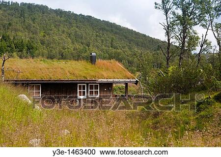 Europe, Norway, Telemark, Near Tinn, House with green roof View Large Photo Image Stock Image - Europe, Norway, Telemark, Near Tinn, House with green roof. Fotosearch