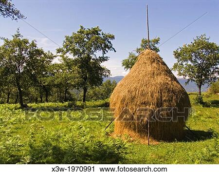 Stock Image - europe, romania, maramures, country along the road from budesti to surdesti.. Fotosearch